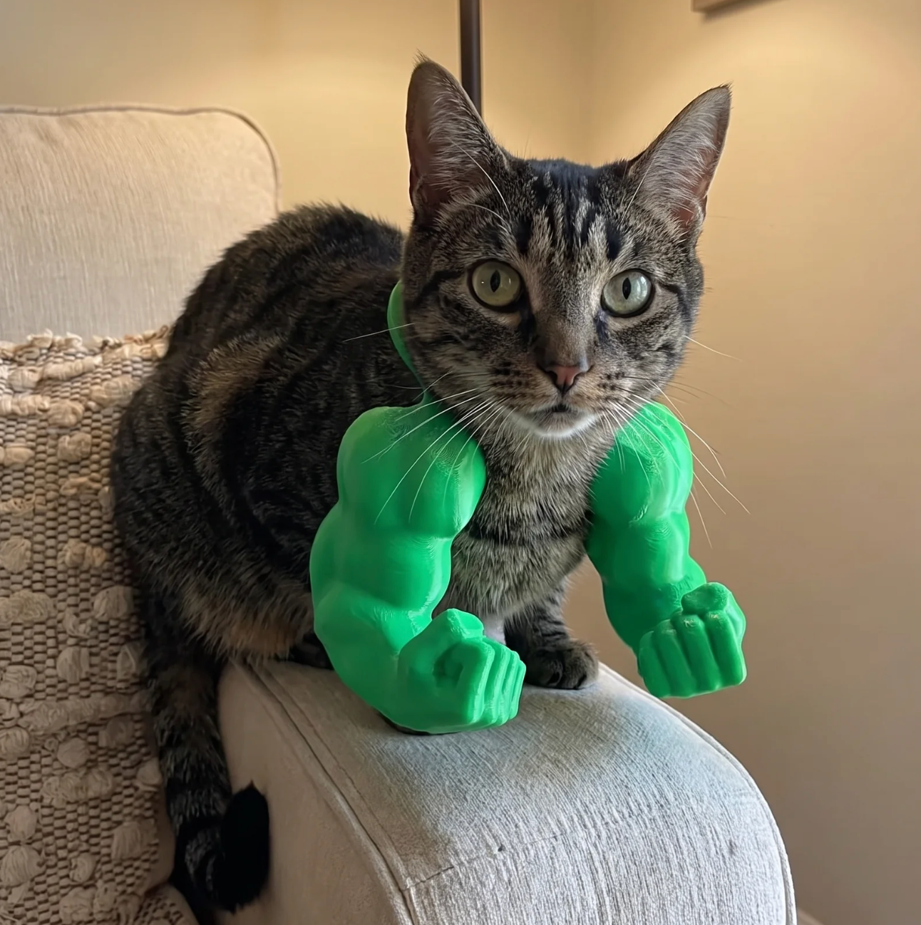 Mega Paws™
